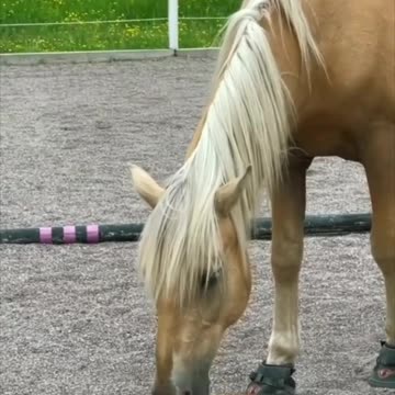 Massage time 😂😂