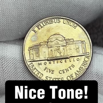 Nickel Album Upgrade 64 - Toned Upgrade!