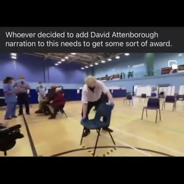 It’s like watching a chimpanzee at a zoo