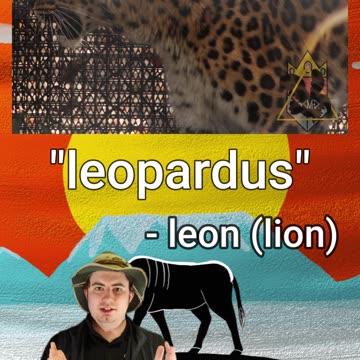 What do the words 'LEOPARD' and 'KOALA' MEAN?! | Early Morning Eland 24