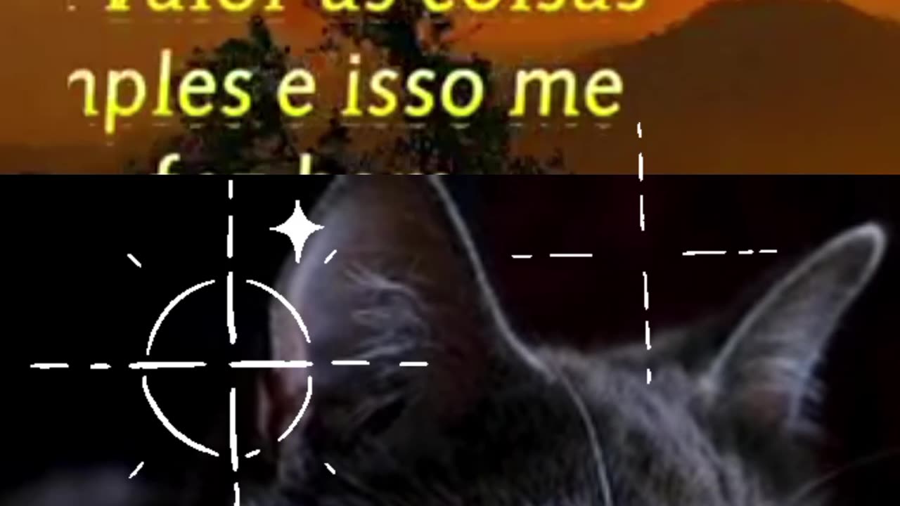 Uma linda reflexão