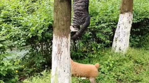 He didn't see him sure🤣
