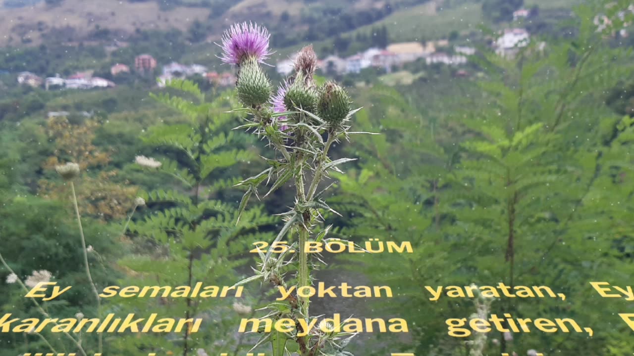 CEVŞEN TÜRKÇE MEALİ / 25. BÖLÜM