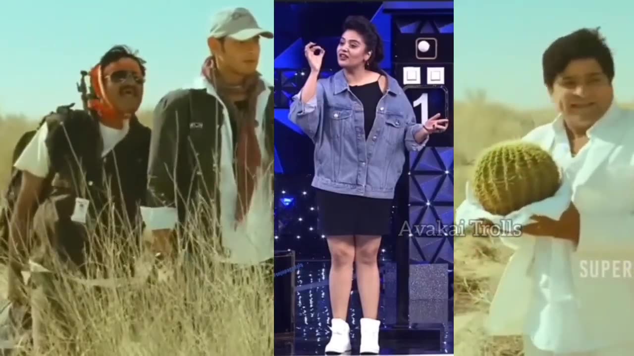 Funny viedos of REELS