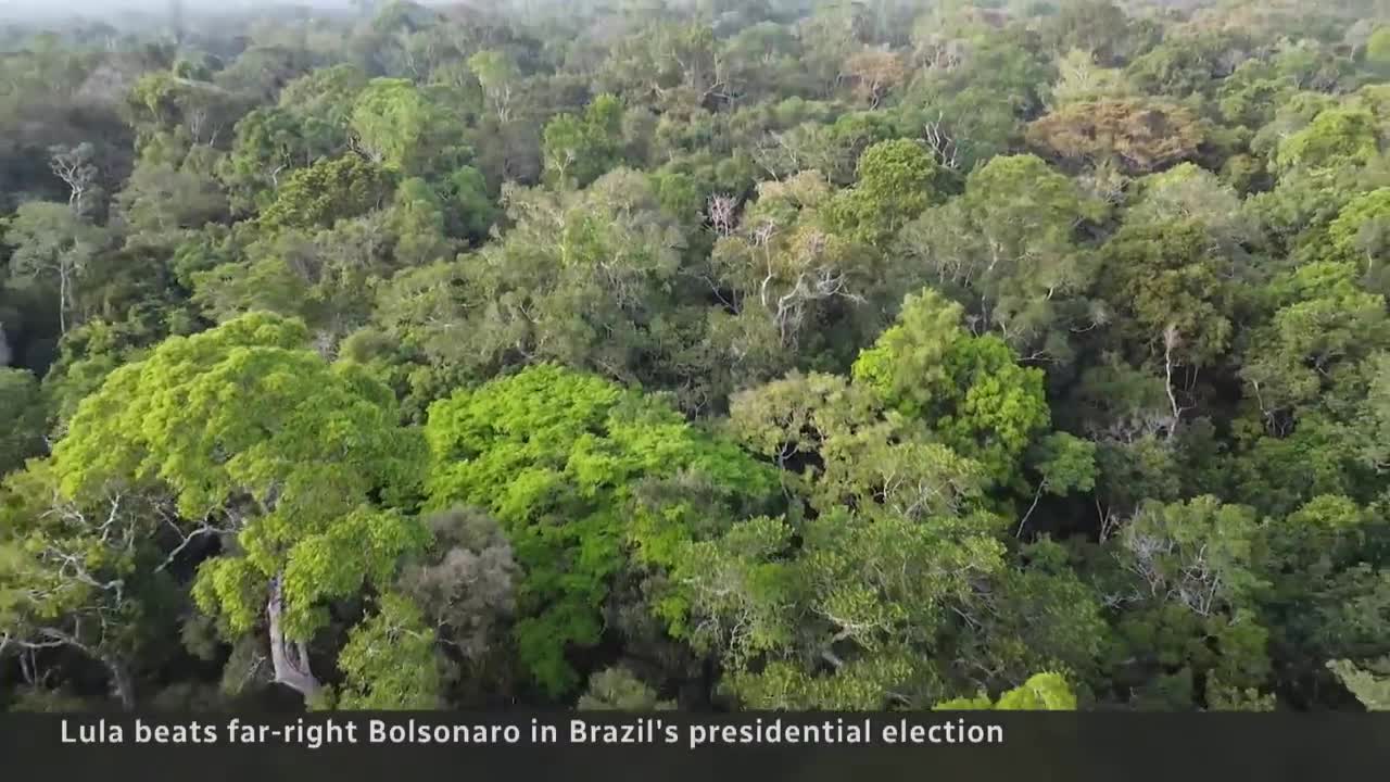 Lula wins Brazil’s presidential election, ousting incumbent Bolsonaro