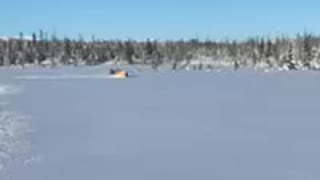 Alaskan Tundra Porpoise