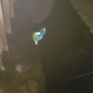 Black Cavern 3.24.23.1