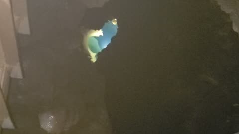 Black Cavern 3.24.23.1