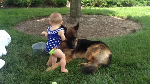 German Shepherd And Baby part 2