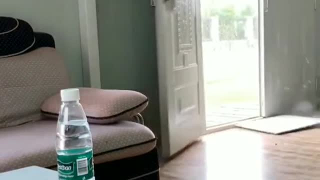 When the owner asked for some water