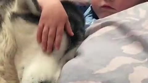 The full 4 Year Story Of My Husky and Baby Becoming best fraind