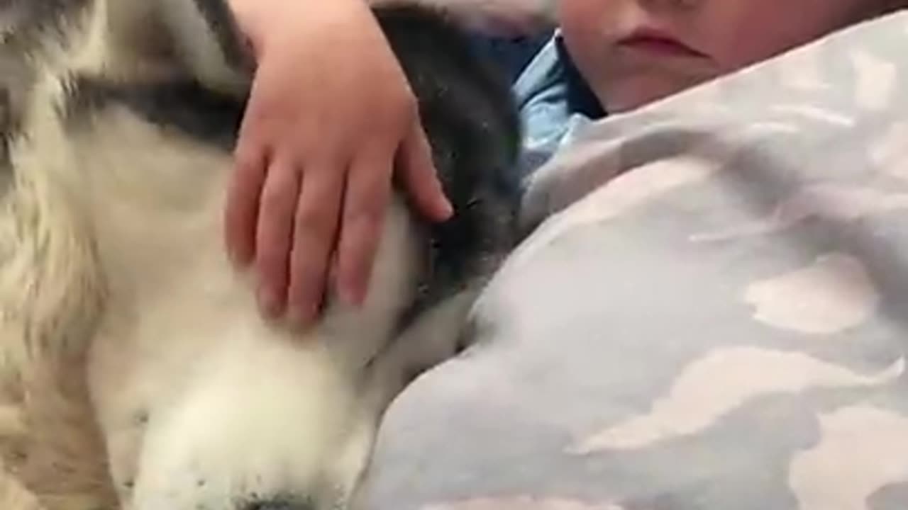 The full 4 Year Story Of My Husky and Baby Becoming best fraind
