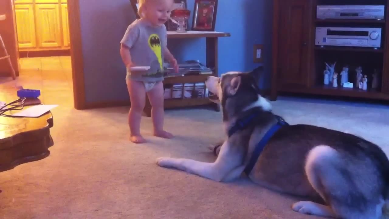 Baby with dog