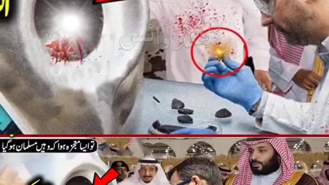 American scientist ajar e aswad k liya makkah puncha