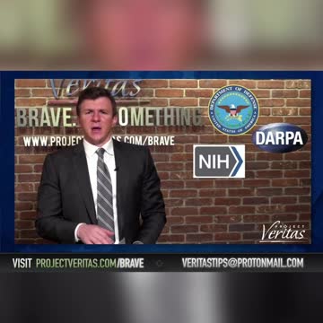 Dan Bongino RIPS Dr. Fauci over new video by Project Veritas