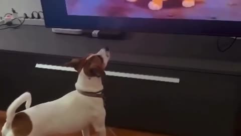 Dog watching the lion king movie. #thelionking #viral #dog #viral #cartoon #animationmovie