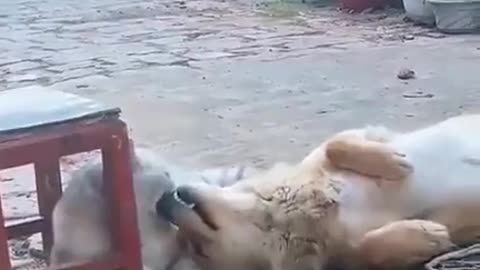 Being Nice
