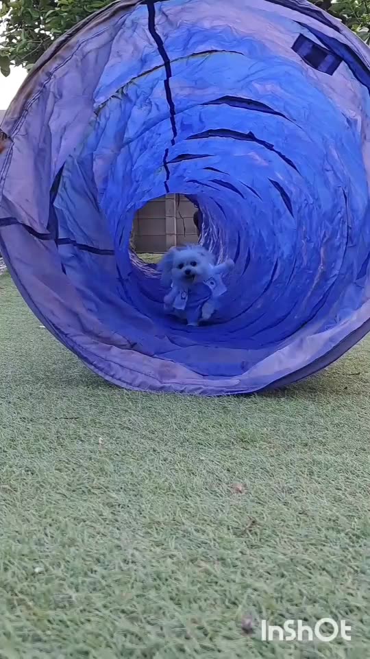 agility！