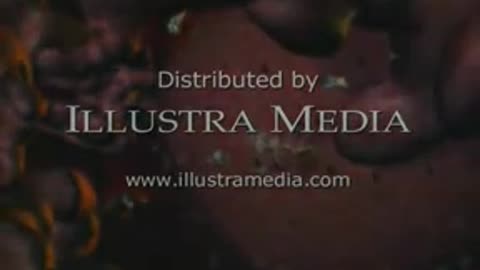 1993 INTELLIGENT DESIGN DOCUMENTARY