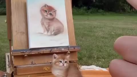 🙏❤️🎉🎉🎉🎊🎊🎊️SWEET AND FUNNY ANIMALS SHOTS 🙏❤️❤️🎉🎉🎉🎊🎊🎊