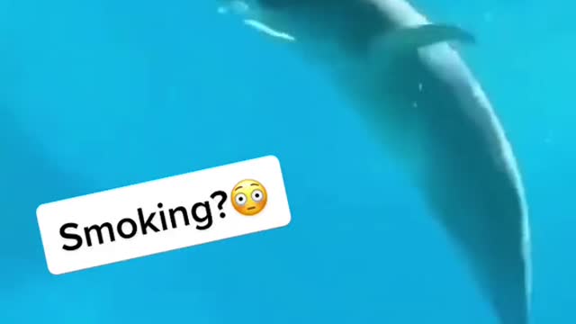 What what like how 🚭😮.