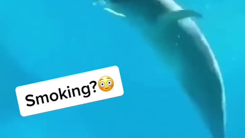 What what like how 🚭😮.