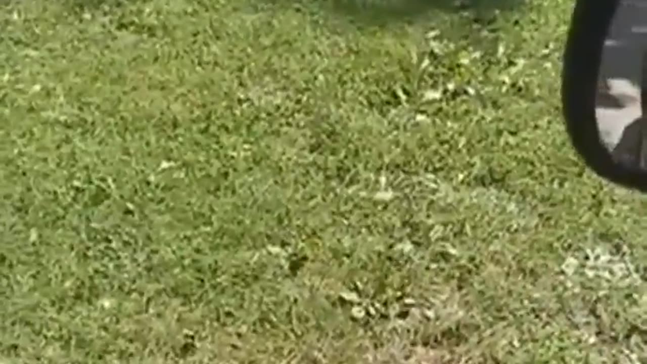 Ohio Man Livestreams Own Death on Facebook Live Due to Speeding