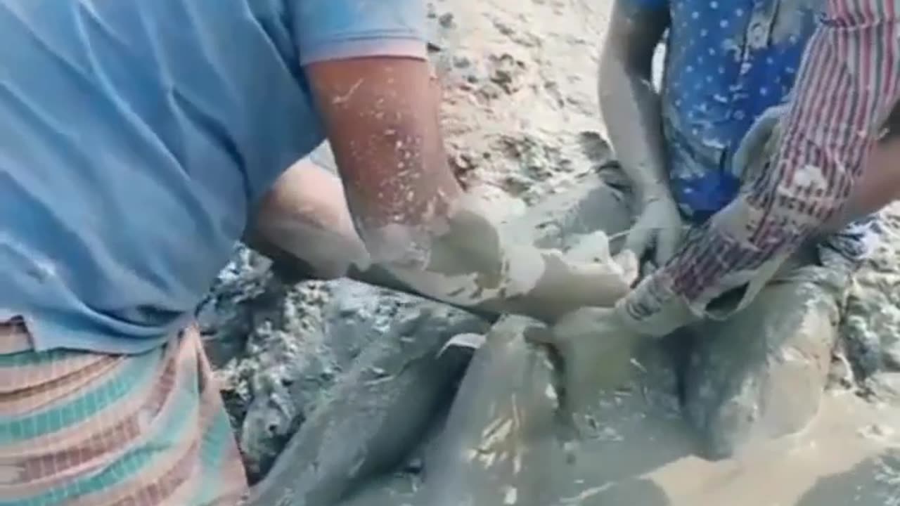 Must Watch Funny Video🤣🤣🤣🤣🤣