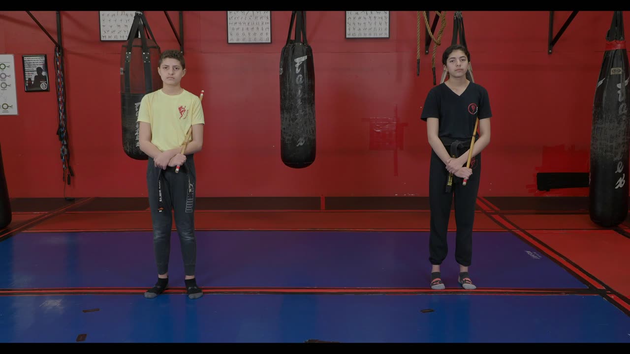 Dragon Warriors' Mix Martial Arts - Safety Stance