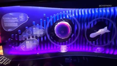 Incredible High-Tech Pro-Life Exhibit Opens at Kentucky's Creation Museum