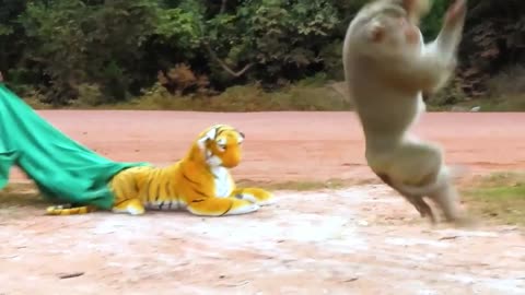 Fake Tiger Prank Monkey and Dog so Funny in 2021