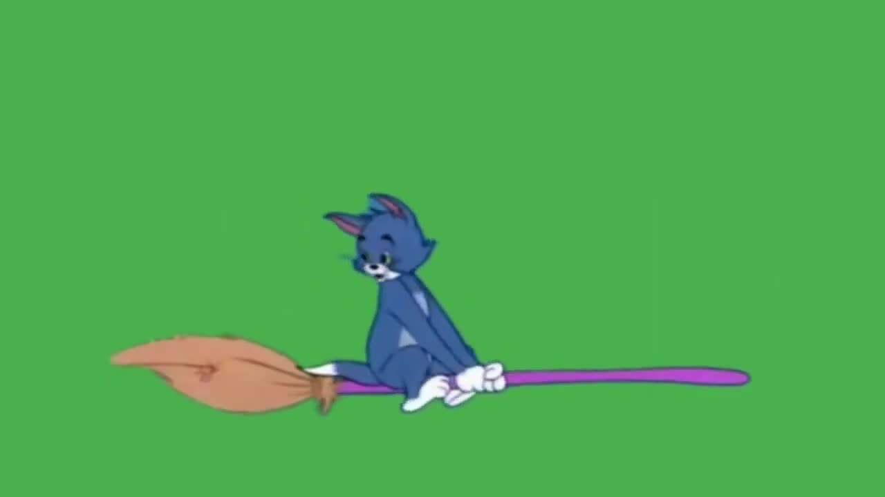 TOM _ JERRY funny clip vedeos