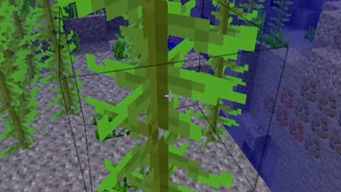 I found it! Not good!