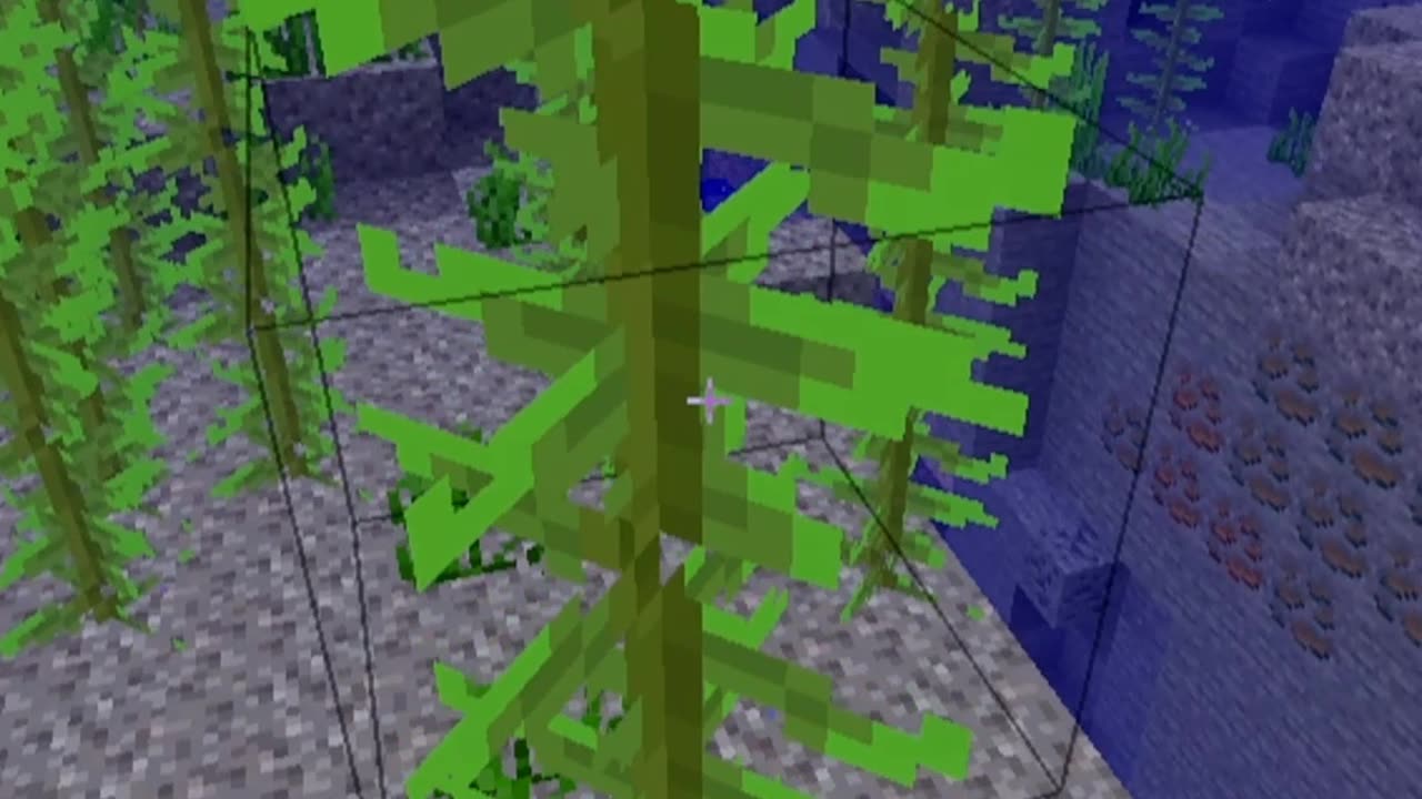 I found it! Not good!
