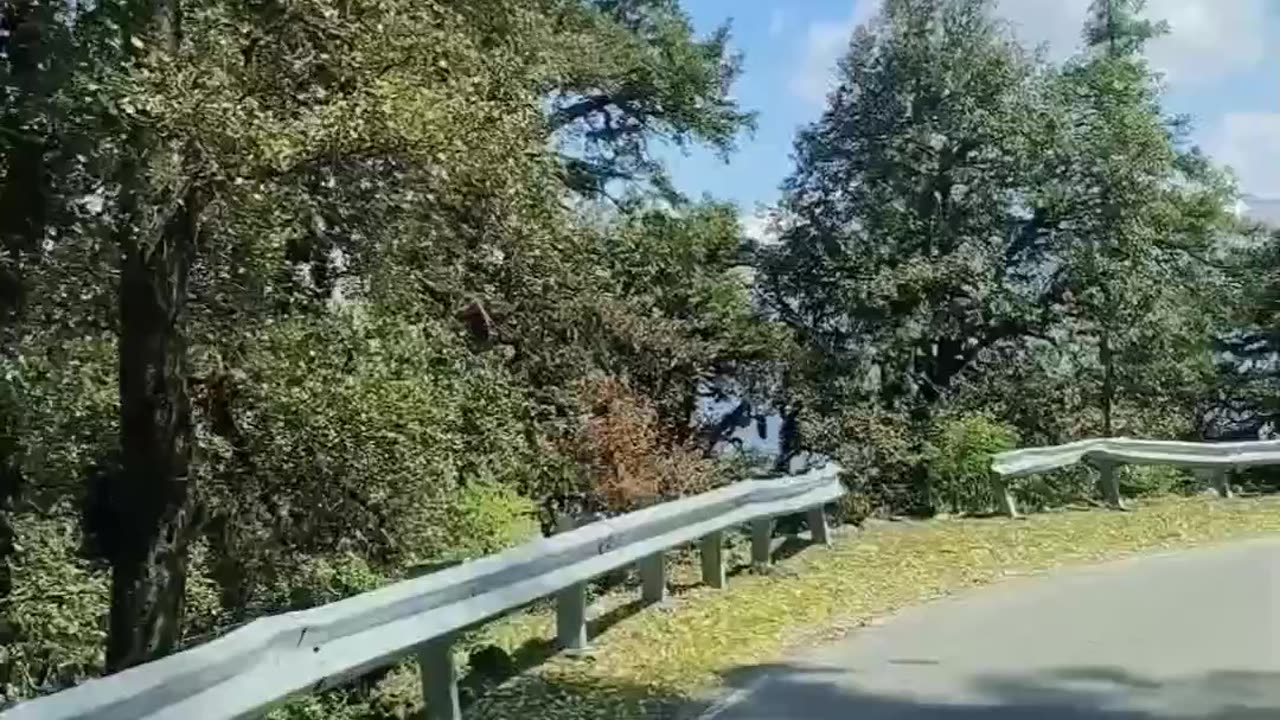 Way with Nature 😊
