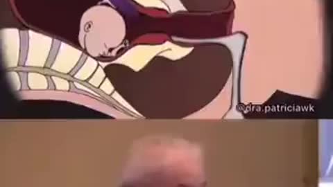 Lula é a favor do Aborto !