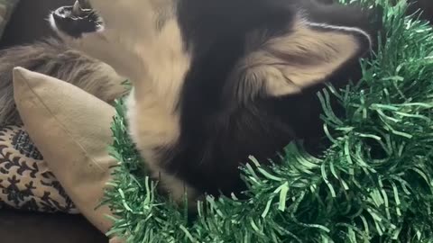 Sing it!