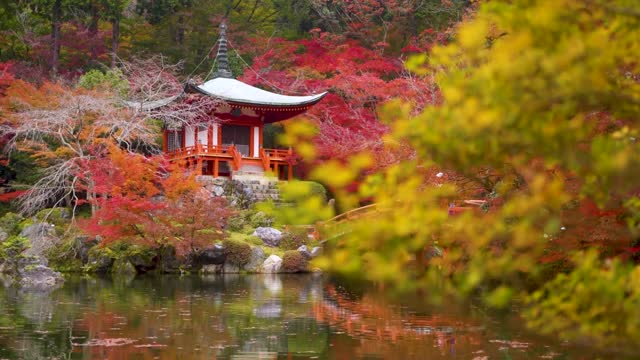 Japan in 8K ULTRA HD - Land of The Rising Sun (60 FPS)-1