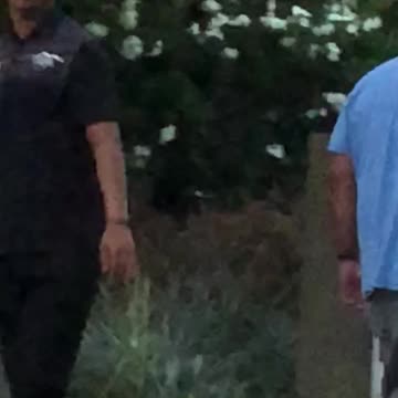 Little River Band-Night Owl Calling