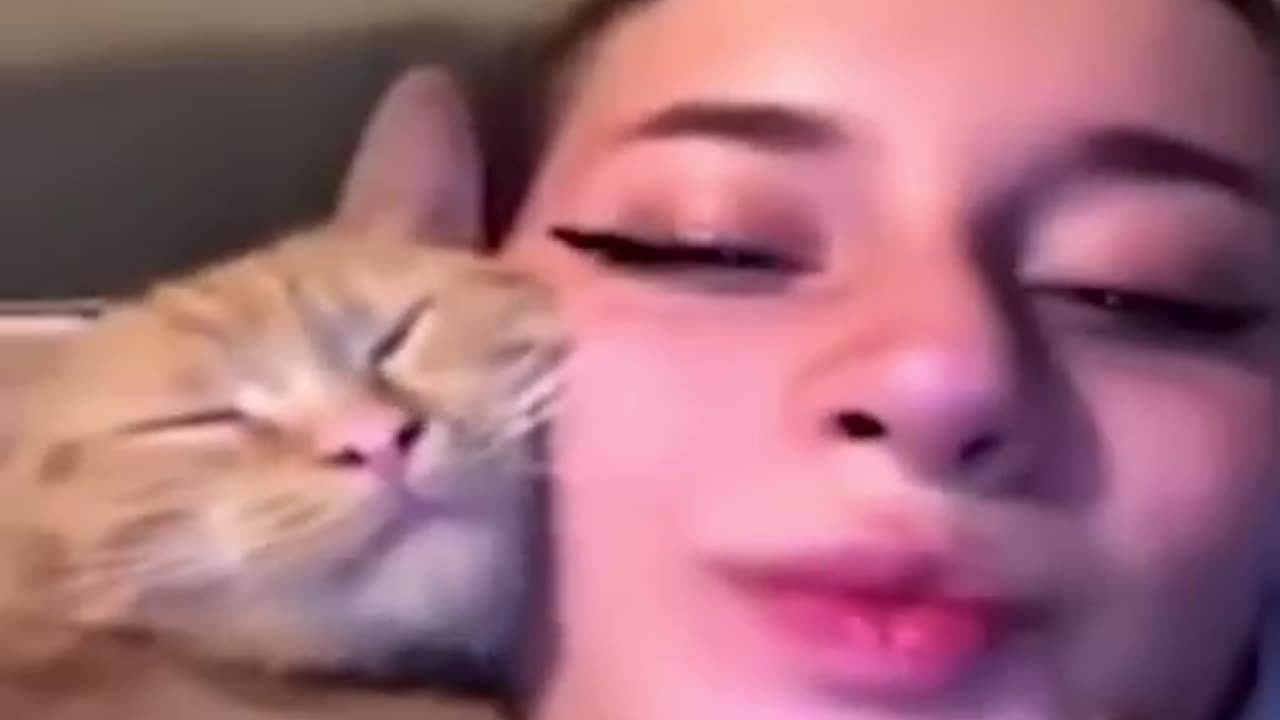 Cat Bites Owner