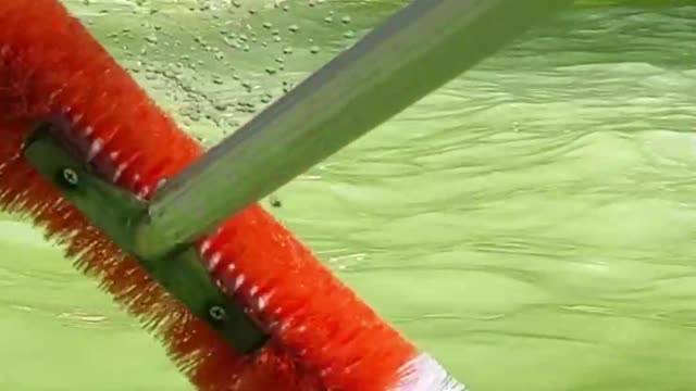 GREEN Swimming Pool to Clear Swimming Pool