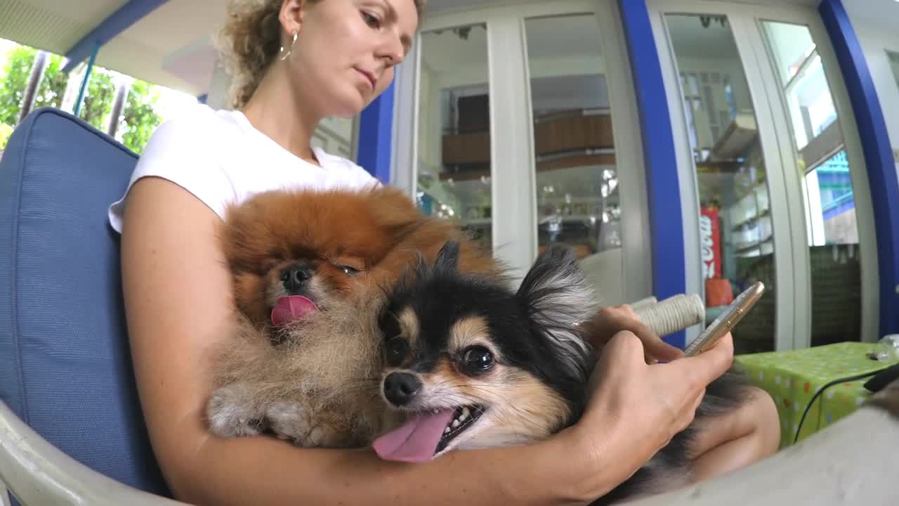 Woman Using Smartphone With Pet Dogs On Hand