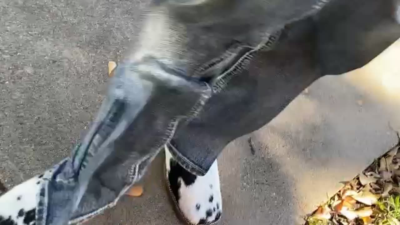 Texas Kid Shows Off His Stylish Cowboy Boots