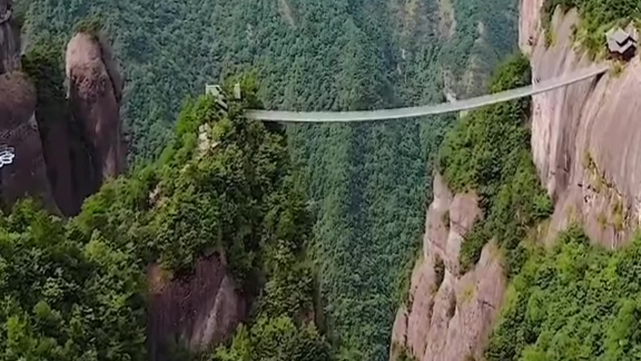 Most beautiful amazing viral video