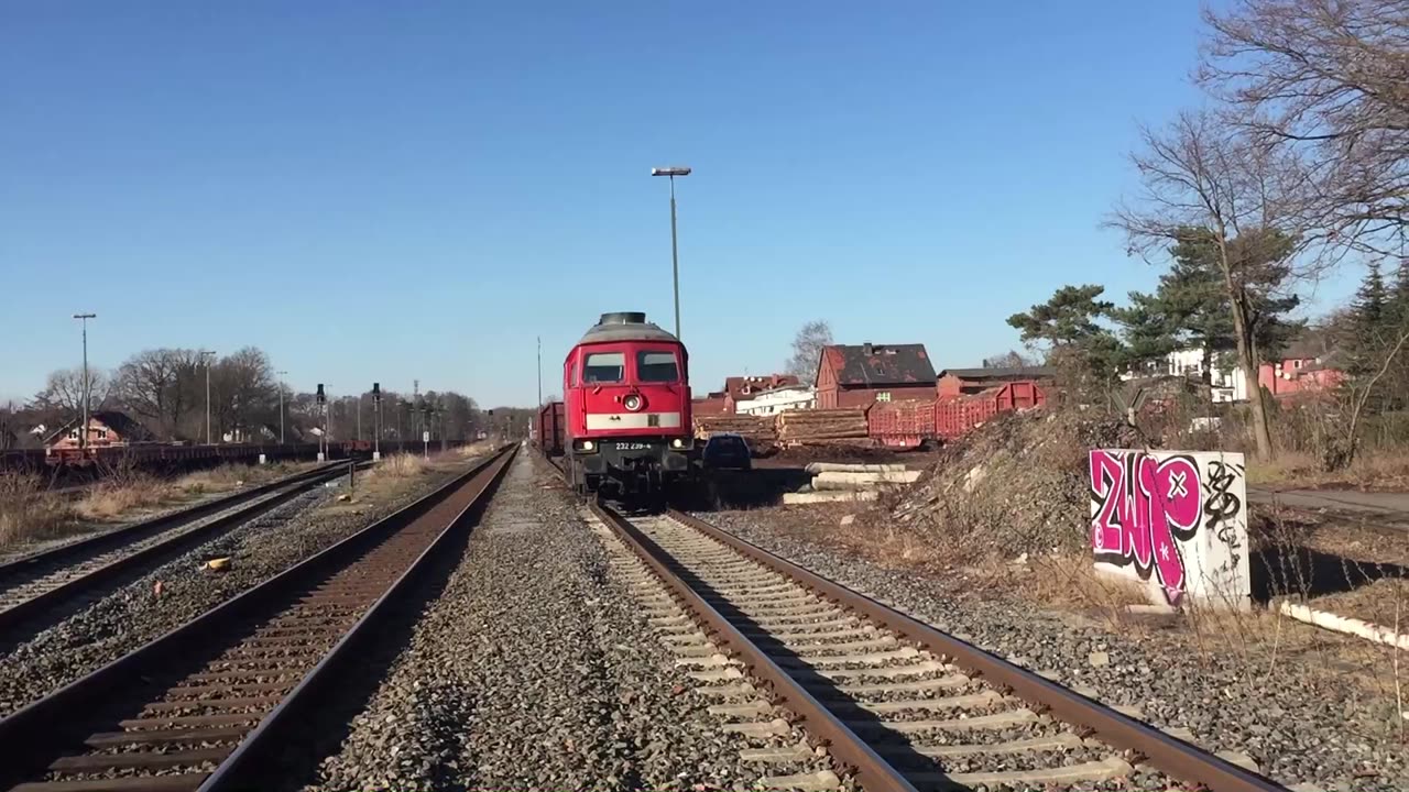 Erfurt Bahnservice 232 239-4 in timber traffic