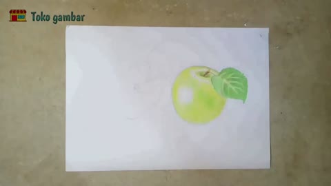 Draw The Details Of The Grooves In The Root Of The Apple