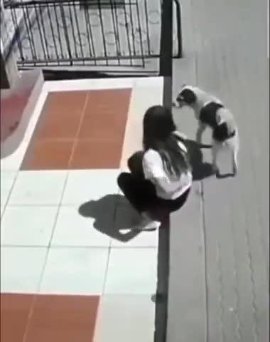 This is why I love security cameras