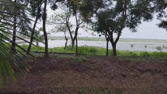 Natural video ♥️♥️