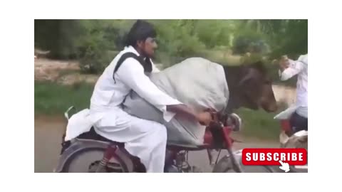 funny Biker