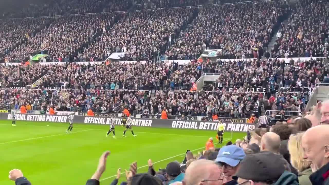 CALLUM WILSON GOAL (Newcastle v Aston Villa)